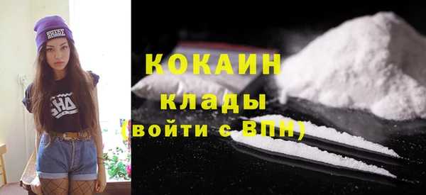 спиды Алзамай