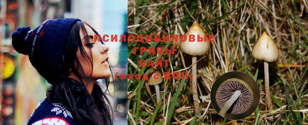 спиды Алзамай