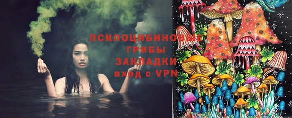 спиды Алзамай