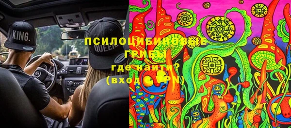 прущие грибы Арсеньев