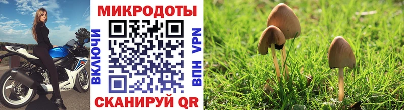 Галлюциногенные грибы GOLDEN TEACHER  Дыгулыбгей 